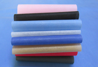 濮阳涤纶（PET）无纺布是什么